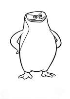 coloriage le pingouin fier